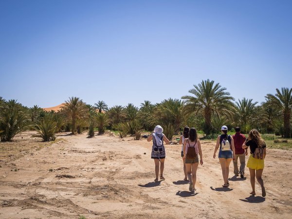 Voyage au Maroc : quelles merveilles vous y attendent ?