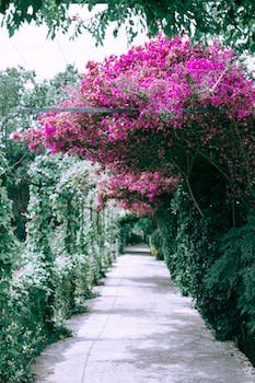 Comment échapper à la taxe d'aménagement d'un abri de jardin ?